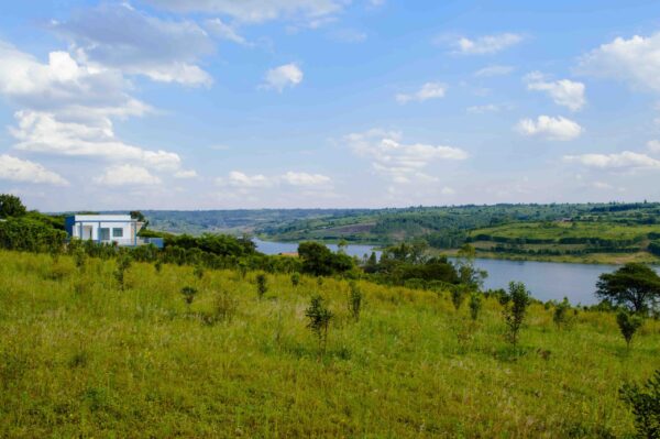 Plots for sales - Image 2