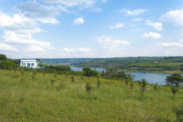 Plots for sales - Image 3