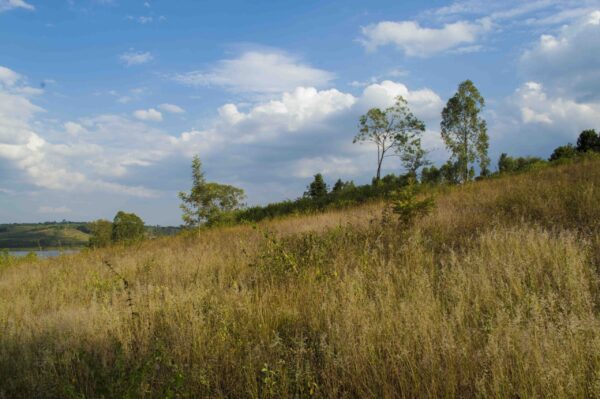 Plots for sales - Image 4