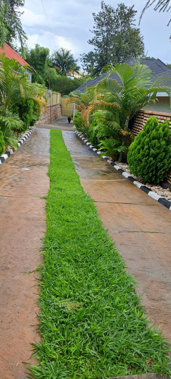 Beautiful 5-Bedroom House for Sale – 356 SQM Built on 574 SQM Plot - Image 4