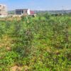 House for Sale in Mayange, Bugesera - Image 2