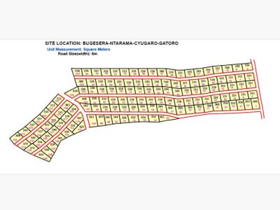 NTARAMA Site of Plots(Bugesera)
