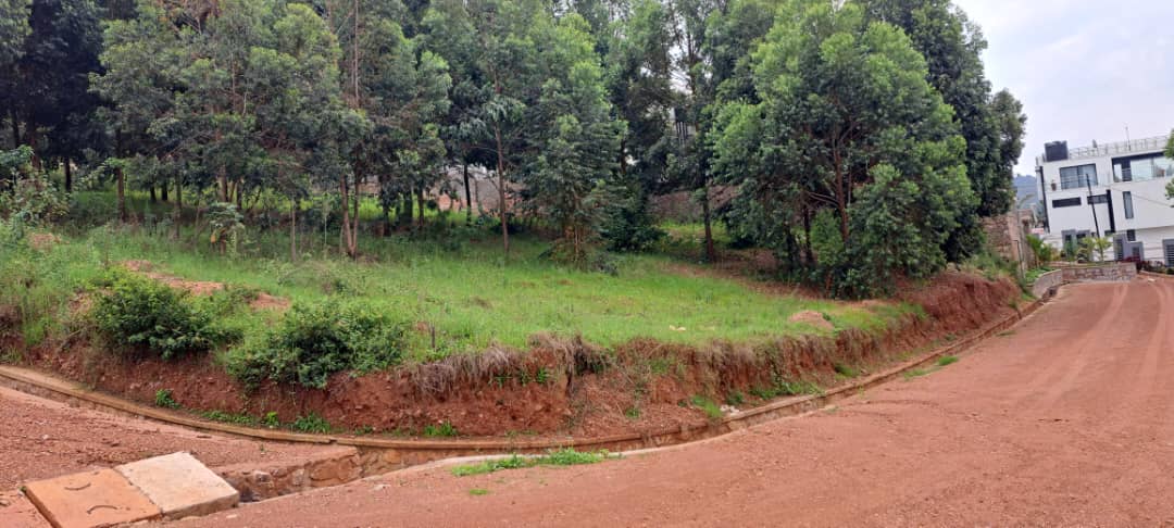 Big plot in Rebero