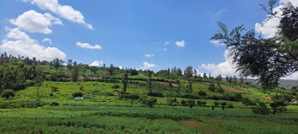 10 HA land for sale in bumbogo