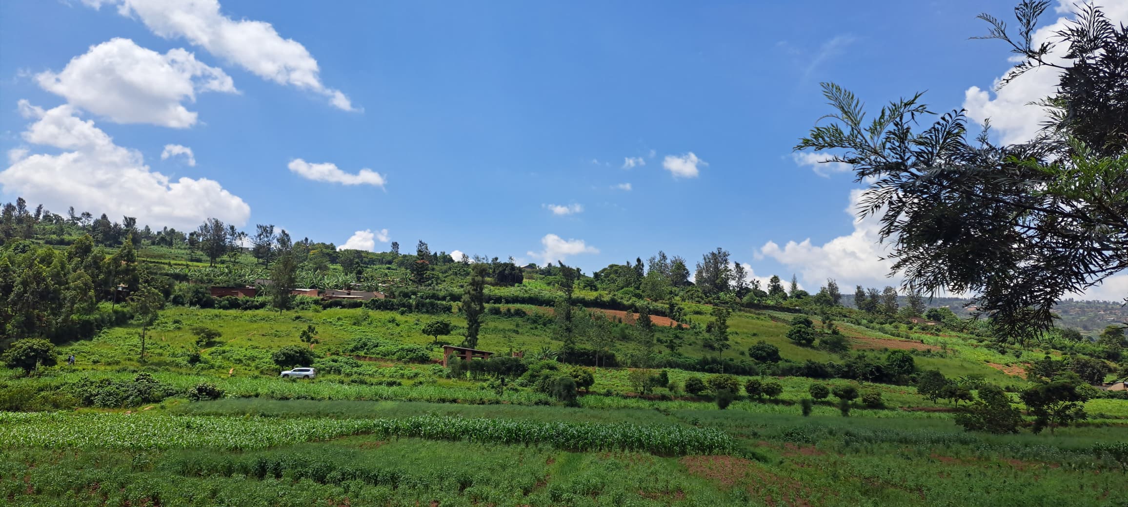 10 HA land for sale in bumbogo