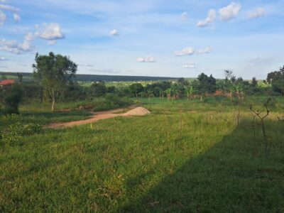 Site of Plots (Mayange/Bugesera)