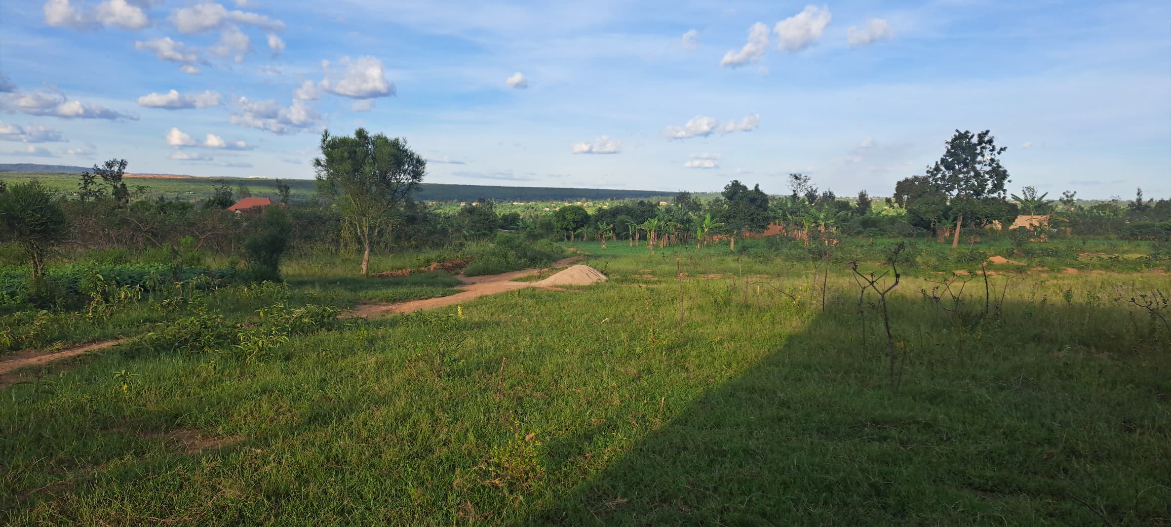 Site of Plots (Mayange/Bugesera)