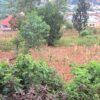 Prime Plot of Land for Sale