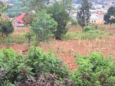 Prime Plot of Land for Sale