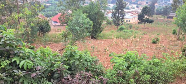 Prime Plot of Land for Sale