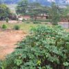 Prime Plot of Land for Sale - Image 3