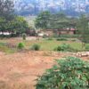 Prime Plot of Land for Sale - Image 4