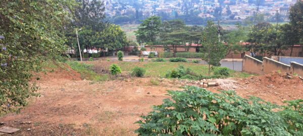 Prime Plot of Land for Sale - Image 4