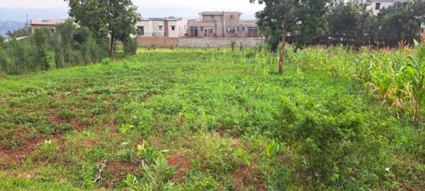 Prime Land for Sale - Image 4