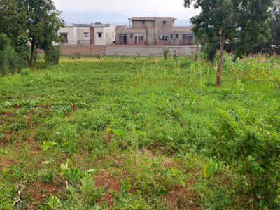 Prime Land for Sale