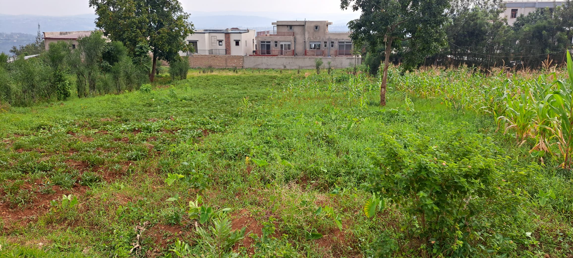 Prime Land for Sale