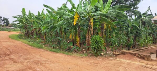 Prime Land for Sale - Image 3